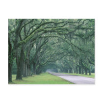 North America, U.S.A., Georgia, Savannah,