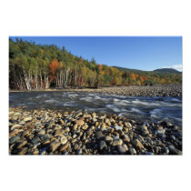 North America, US, NH, A cobble beach on the