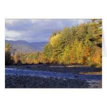 North America, US, NH, Saco River. Cobble Greeting Card