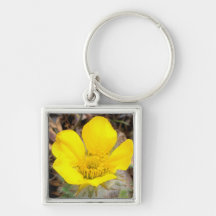 North America, USA, Alaska, Denali National Keychains