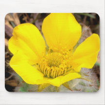 North America, USA, Alaska, Denali National Mouse Pad