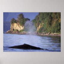 North America, USA, Alaska, Inside Passage. Print