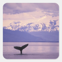 North America, USA, Alaska, Inside Passage. Sticker