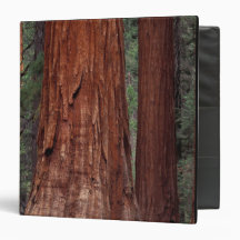 North America, USA, California, Yosemite NP, 2 3 Ring Binders