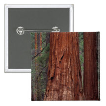 North America, USA, California, Yosemite NP, 2 Pinback Buttons