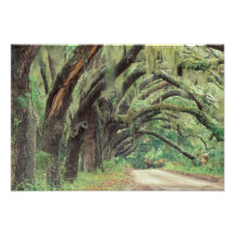 North America, USA, Georgia, Cumberland 2 Photographic Print