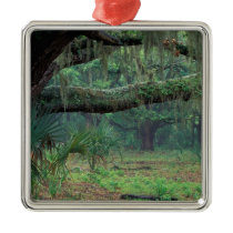 North America, USA, Georgia, Cumberland Christmas Tree Ornament