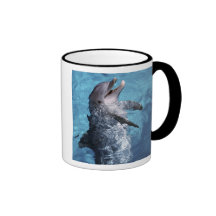 North America, USA, Hawaii. Dolphin 2 Mugs