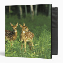 North America, USA, Minnesota. White-tailed 2 3 Ring Binders