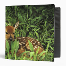 North America, USA, Minnesota. White-tailed Vinyl Binders