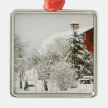 North America, USA, WA, Whidbey Island. Christmas Tree Ornaments