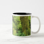 North America, USA, Washington, Olympic 3 Mug
