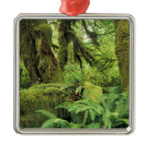 North America, USA, Washington, Olympic 3 Ornament