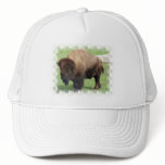 North American Bison Baseball Hat