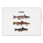 North American Catfish Logo Greeting Cards