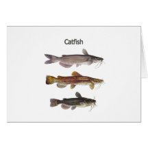 North American Catfish Logo Greeting Cards