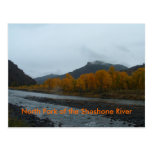 North Fork of the Shoshone River Postcard