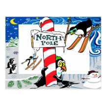 North PolePostcard
