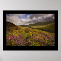 North Wales, near Cregannan Posters