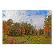 Northeast  Autumn Photograph