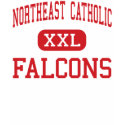 Northeast Catholic - Falcons - High - Philadelphia t-shirts