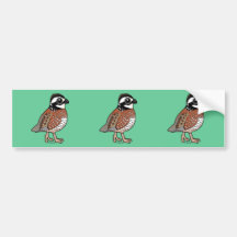 Northern Bobwhite Bumper Sticker