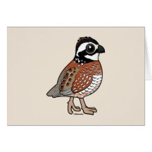 Northern Bobwhite Greeting Cards