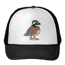 Northern Bobwhite Hats