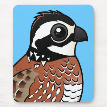 Northern Bobwhite Mousepads