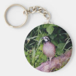 Northern Bobwhite Quail Key Chain
