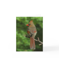Northern Cardinal Bird Note Card