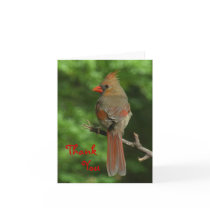 Northern Cardinal Bird Thank You Card