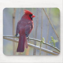 Northern Cardinal Mouse Pad