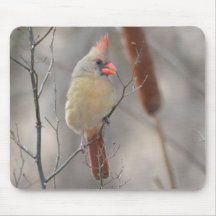 Northern Cardinal Mouse Pad