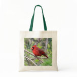 Northern Cardinal Photo Tote Bag