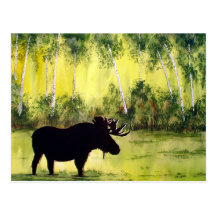 Northern Diary Postcard
