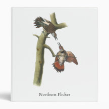 Northern Flicker, John Audubon 3 Ring Binder