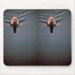 Northern Fulmar (dark phase) Mouse Pads