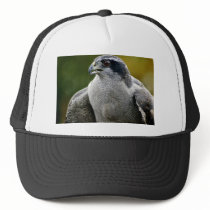 Northern Goshawk Trucker Hat