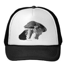 Northern Goshawk Trucker Hat