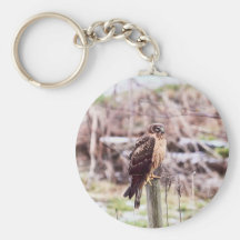 Northern Harrier Hawk on Fence Key Chain