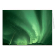 Northern lights, Aurora borealis, over foothills