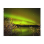 Northern lights (Aurora borealis)