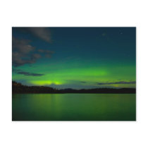 Northern lights (Aurora borealis)