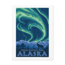 Northern Lights - Denali National Park, Alaska Postcard