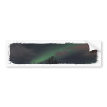 Northern Lights in Boreal Forest Bumper Sticker