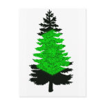 Northern Lights Pine postcards