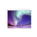 Northern Lights Shine in Alaskan Sky Postcard