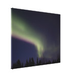 Northern Lights with a Streak of Purple Gallery Wrap Canvas