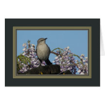 northern_mockingbird_3400 greeting cards